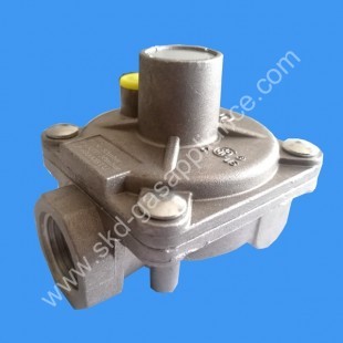 Gas Pressure Regulator, Gas Pressure Regulator 102