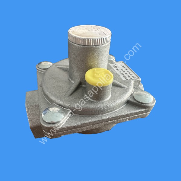 Dual gas  Pressure Regulator  102