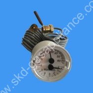 Temperature/Pressure Gauge 02